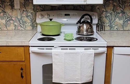 Berea House | Welcome to Meadow Wild! Secluded 3BR/1BA cozy home close to the Pinnacles!
