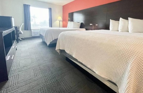 Cuero House | Welcome to Paradise! 4 Exquisite Unit, w/Sun Terrace and laundry facilities