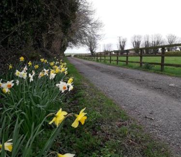 Bansha House | Wellfield Farmhouse