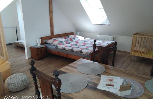 Dolany Apartment | Wellness apartmán Beavital