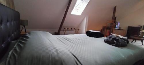 Coevorden House | Wellness B&B Hartje Coevorden