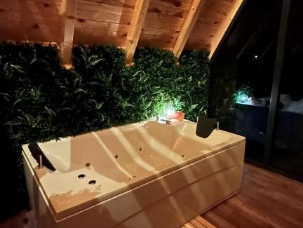 Tuzla Canton Villa | Wellness Borealis
