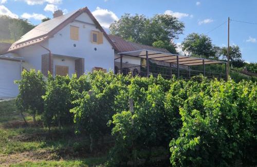 Bataszek Apartment | Werner Apartman