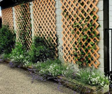 Motueka Bed & Breakfast | Whakatā Place