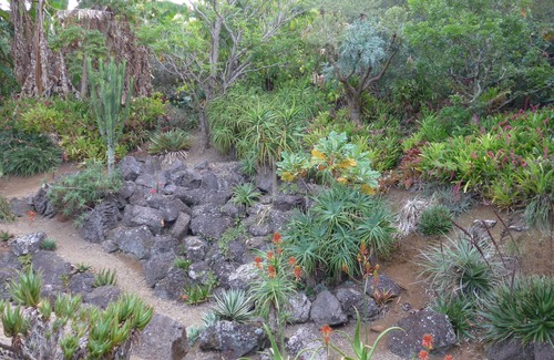Kerikeri Cottage | Wharepuke Subtropical Accommodation