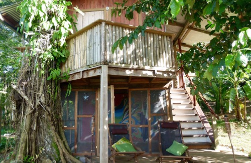Bocatorito Cabin | Whimsical Treehouse on cacao farm in Dolphin Bay