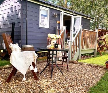 Eye Apartment | Whiskers and Woods Shepherd Hut