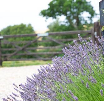 Warminster House | Whitbourne farm