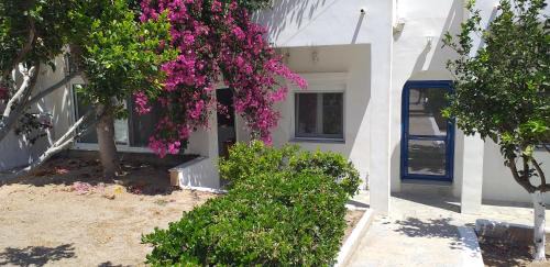 Vissa Apartment | white and blue,finikas syros