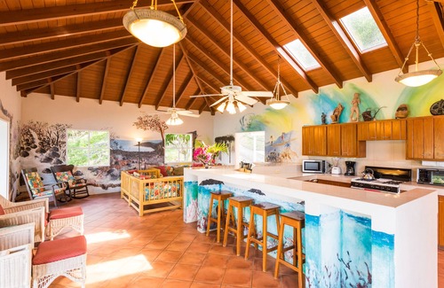 Jost Van Dyke Villa | White Bay Villas and Beach Club