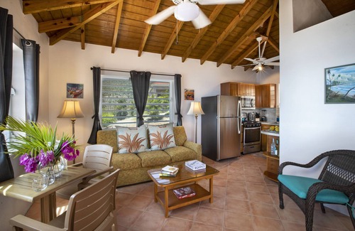 Jost Van Dyke Villa | White Bay Villas and Beach Club
