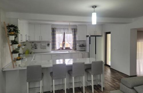 Baia-Sprie Villa | White House