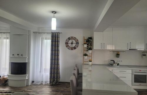 Baia-Sprie Villa | White House
