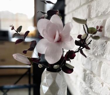 Karpacz Apartment | White View Rose