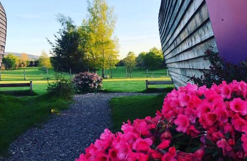Aberuthven Bed & Breakfast | Whitemoss Lodge