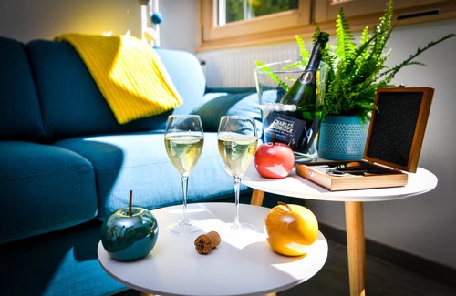 Pontarlier Apartment | Whole flat T1 of 31 m² quiet & cosy