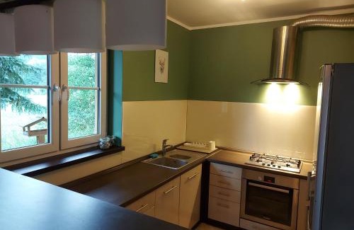 Wola Radziszowska Apartment | WhyDeer