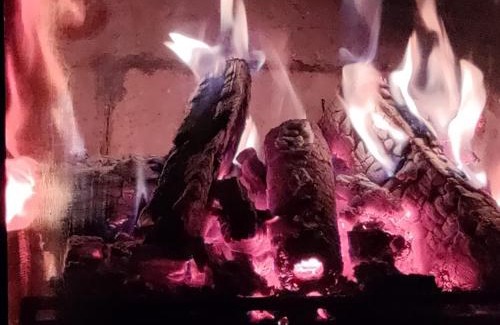 Podjazy House | Widny Jaś zaprasza z psem nad jezioro na Kaszubach