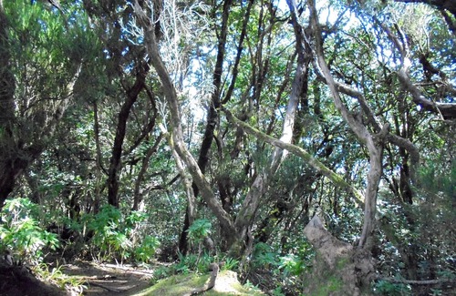 Puerto de Guimar Other | Wifi. Calm