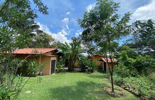 San Carlos Cabin | WiFi+Pool+10min 2 Surf+Nature+Private+Quiet