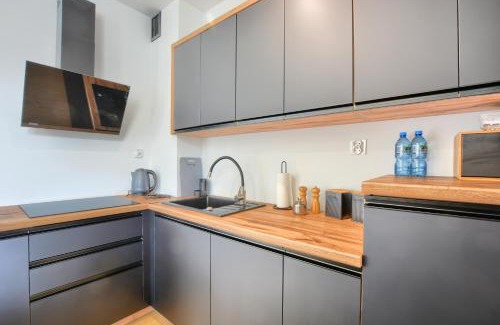 Ustrzyki Dolne Apartment | Wilcze Zacisze