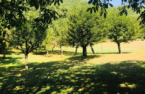 Valmozzola RV Rental | WILD Camping Site in an Italian Orchard