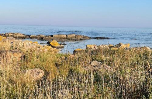 Nexo Apartment | Wildernest Bornholm - Svanen