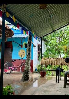 Meghauli House | Wildflow jungle yoga safari and homestay