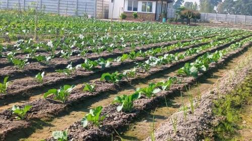 Pilibhit Resort | Wildlense Wild Retreat