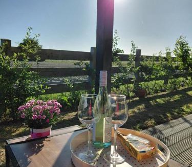 t Zand House | Wildzicht Cosy Cabins