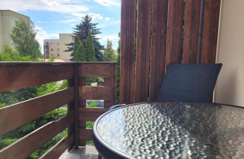 Busko-Zdroj Apartment | Willa Cynamon Garden