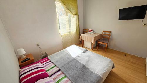 Rewal House | Willa Daniela