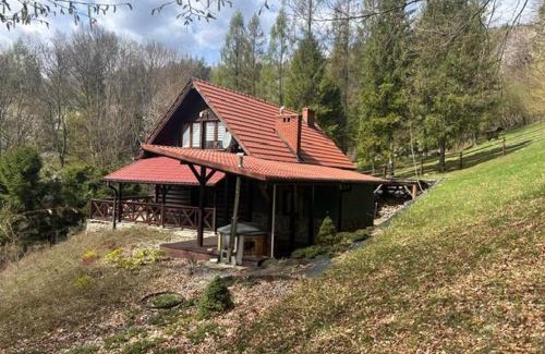 Czernichow Villa | Willa Hacienda