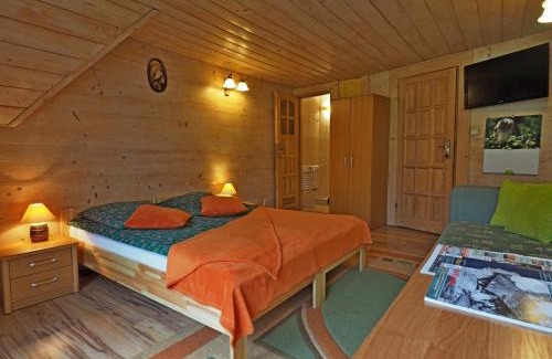 Zakopane House | Willa u Kubusia