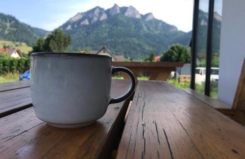 Sromowce Nizne House | Willa Widok