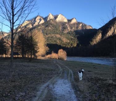 Sromowce Nizne House | Willa Widok