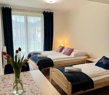 Polany Bed & Breakfast | Willa Wioletta