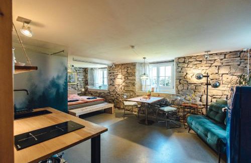 Schwarzach Apartment | Willkommen im Rustico - Deinem Rückzugsort zwischen Bergen und Bodensee
