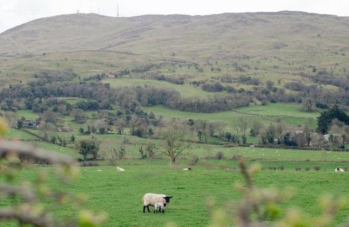 Dromore House | Willow Cottage Dromara