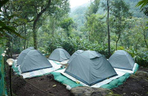 Lakkidi Hotel | willowCreek