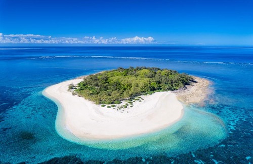 Wilson Island Resort | Wilson Island