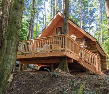 Regional District of Nanaimo House | Wind Down Log Cabin in the Woods with Cozy Woodstove