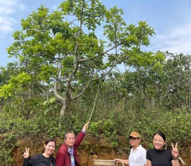 Bao Loc House | WindHill Homestay Bảo Lộc - Căn Villas Nhà Gỗ