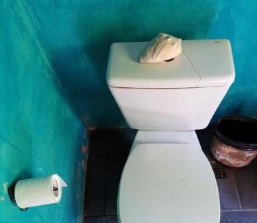 San Carlos de Bariloche Ski Chalet | Windmill Bariloche