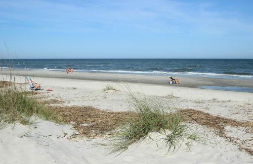 Palmetto Dunes Apartment | Windsor Place 207