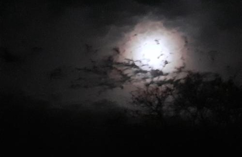 Nelson Mandela Bay Apartment | Windygates Estate Room 1