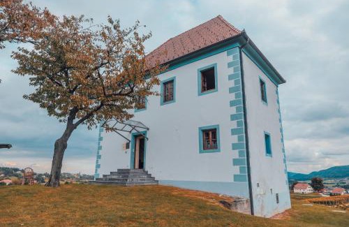 Slovenske Konjice Apartment | Wine Grower's Mansion Zlati Gric