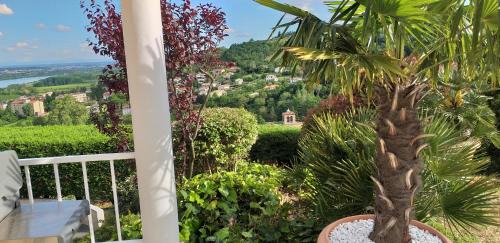 Chavanay House | Wine Passion Panoramic