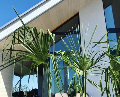 Balatonlelle Apartment | Wine & Space Lodge at Lake Balaton