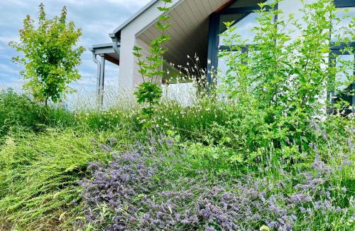 Balatonlelle Apartment | Wine & Space Lodge at Lake Balaton